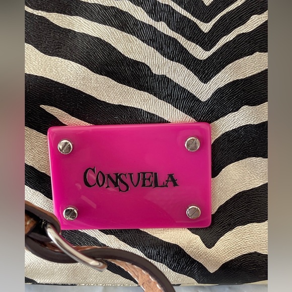 Consuela Zebra Print Crossbody Bag - Picture 6 of 8